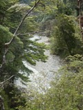 Kaitoke National Park