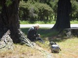 Stopped for a break