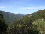 Rimutaka
