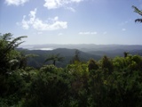 Eastern Coromandel peninsula